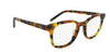Matte Caramel Tortoise