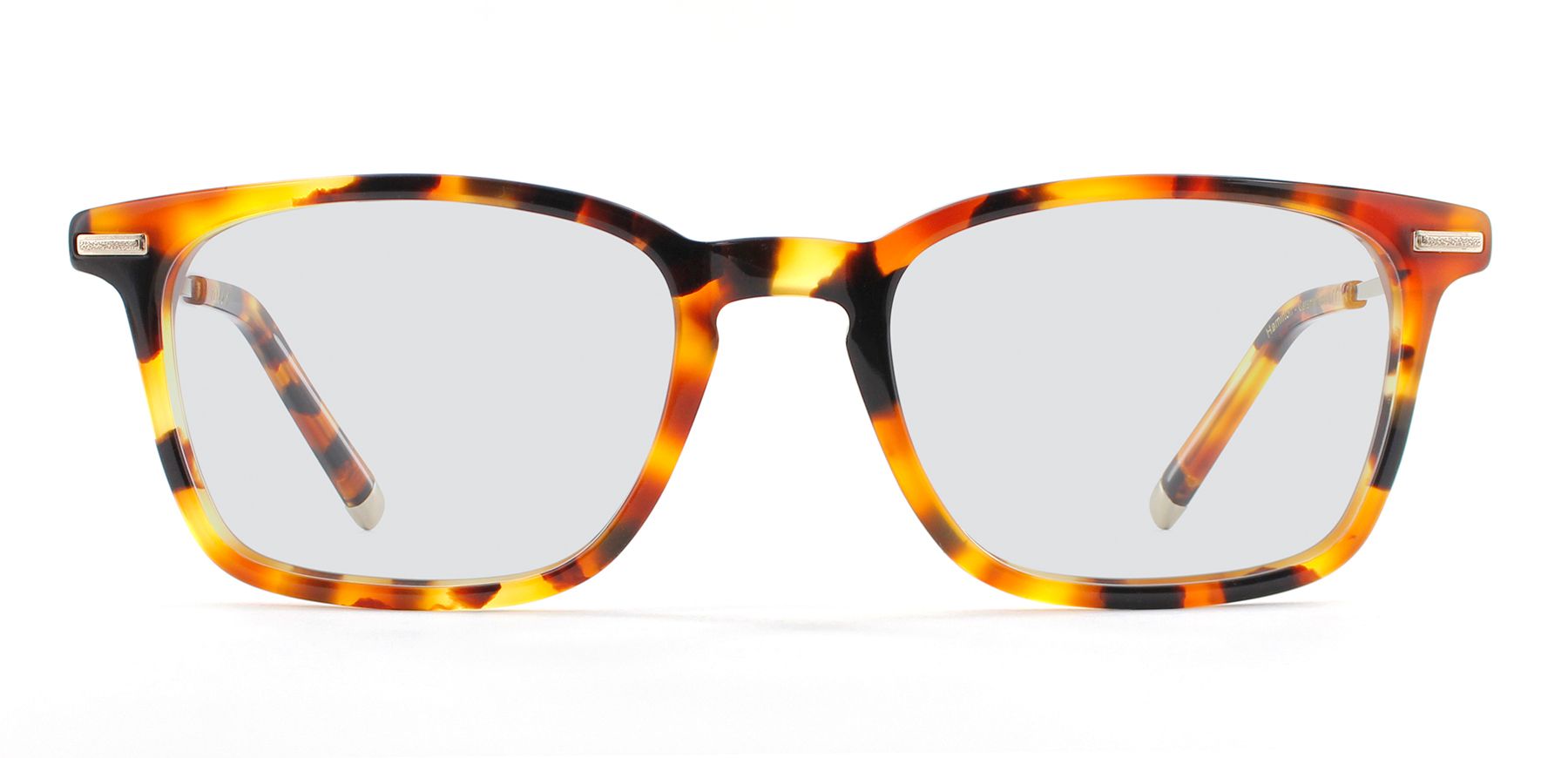 Caramel Tortoise