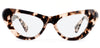 Vanilla Tortoise