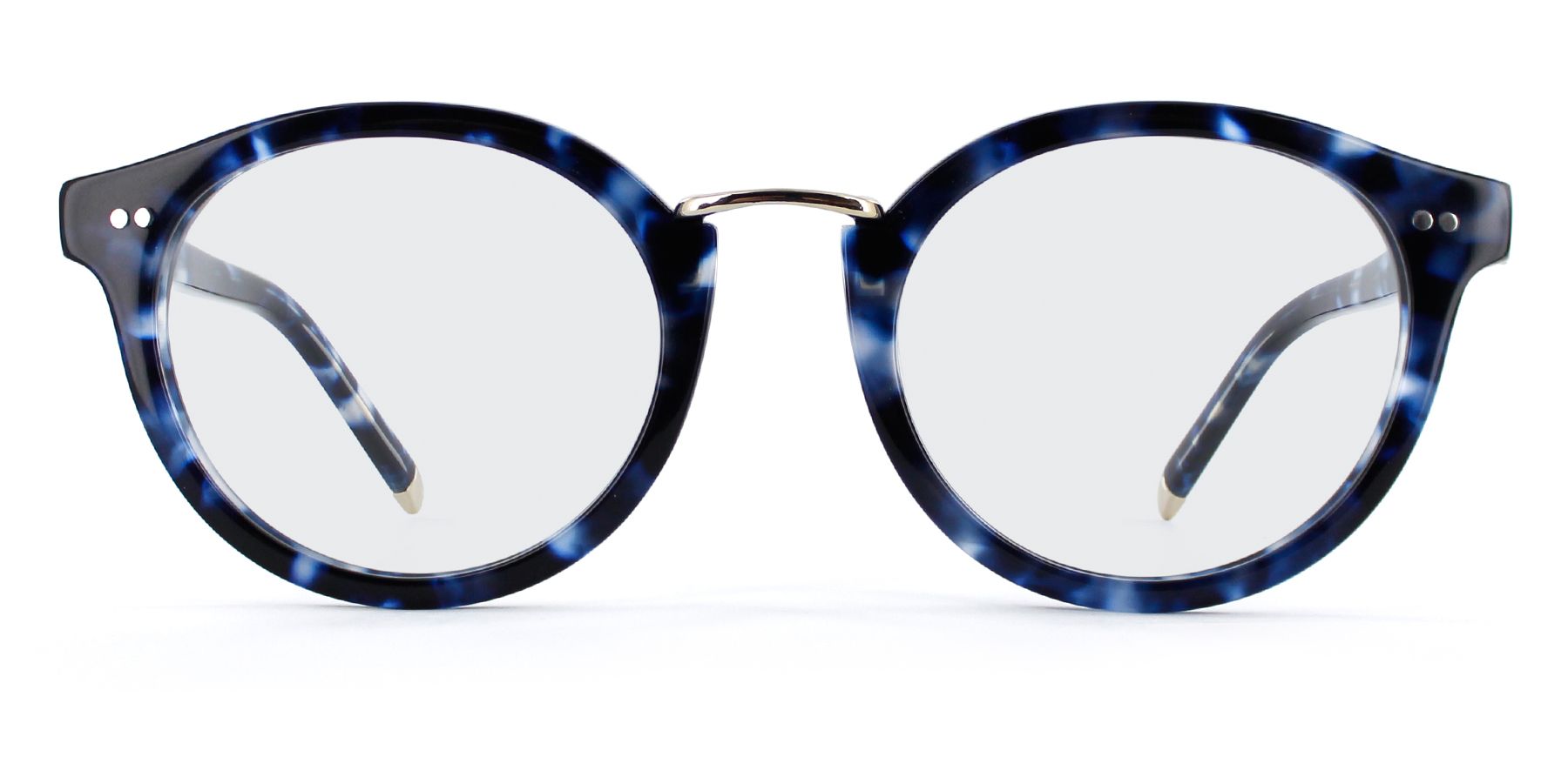 Blue Tortoise