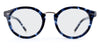 Blue Tortoise