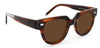 Rosewood Stripe with Brown Lenses