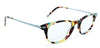 Walnut Tortoise