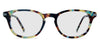 Walnut Tortoise