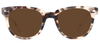 Matte Vanilla Tortoise with Brown Lenses