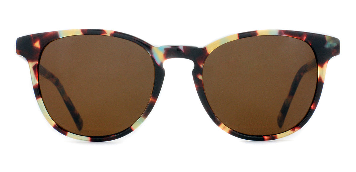 Walnut Tortoise with Brown Lenses